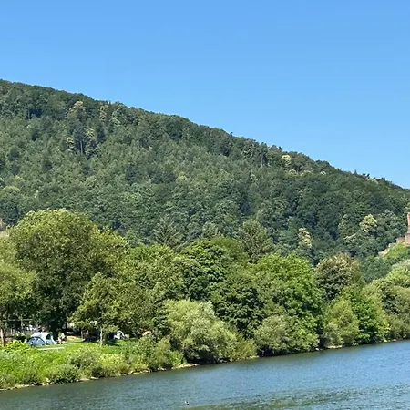 Garni Neckarblick 게스트하우스 *